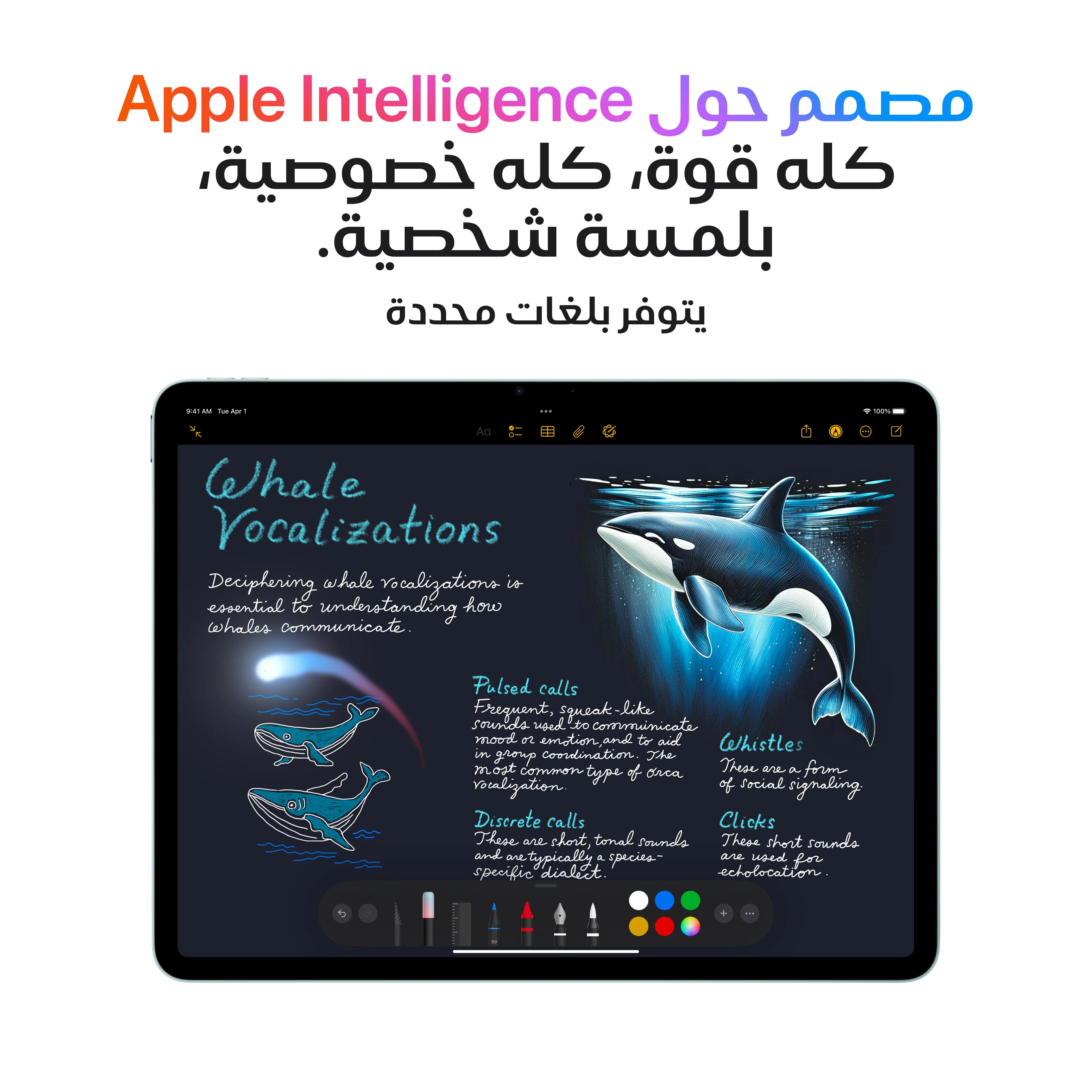 11-inch iPad Air Wi-Fi 128GB - ضوء النجوم (M3) - Image 5