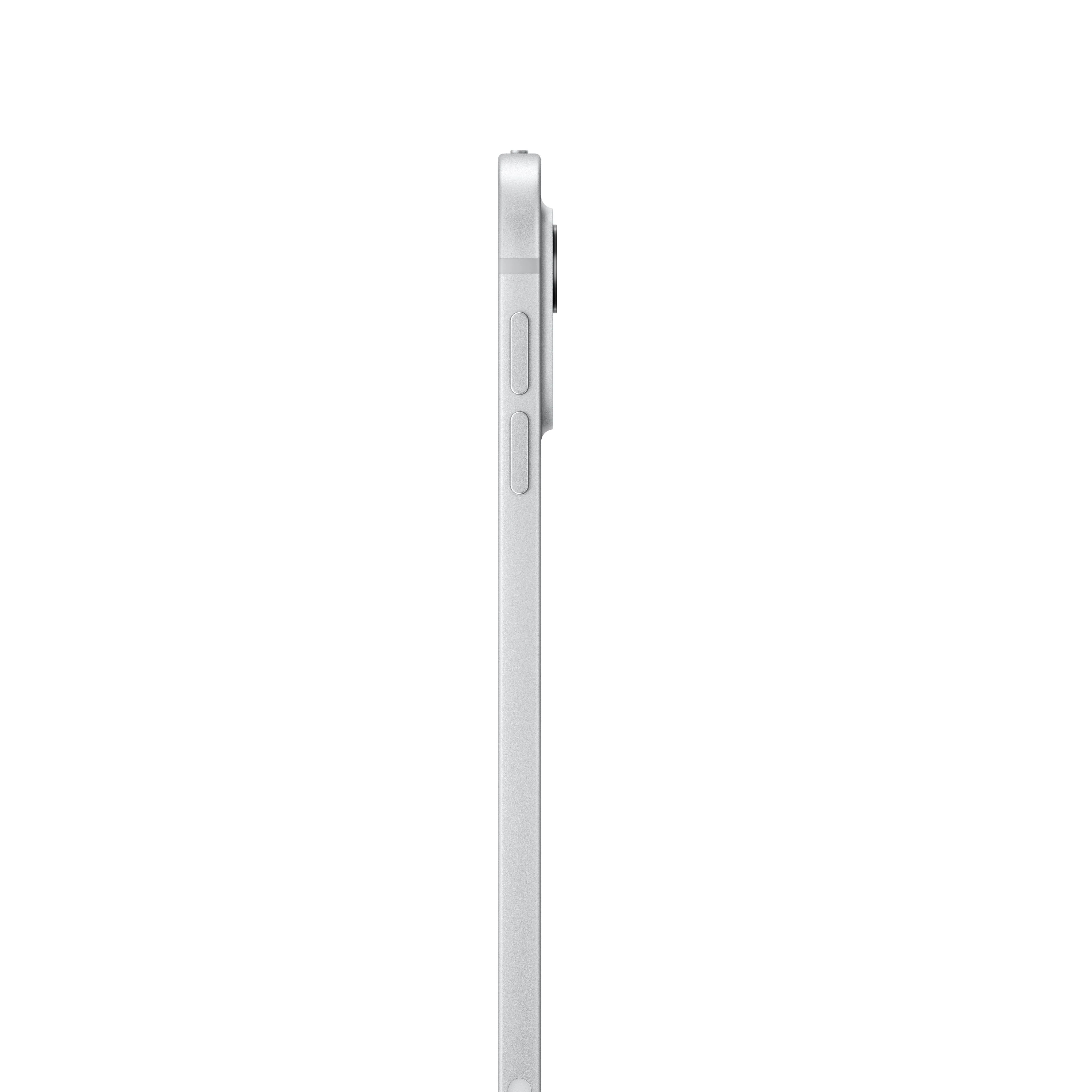 11-inch iPad Pro Wi-Fi + Cellular 2TB Standard Glass - فضي (M4) - Image 3